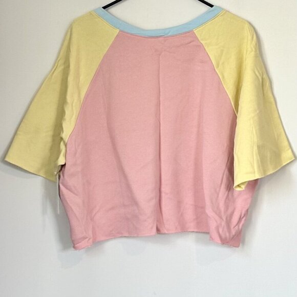 NWT Abound by Nordstrom Colorblock Retro Cropped Short Sleeve Sweater - 2X - Picture 5 of 5